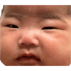 kanapochi_20260507174023