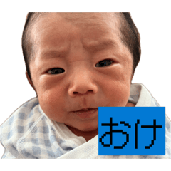 toook_20260507173907