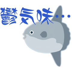 shimashima._20260507174401