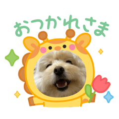 YUNU_20260507173611