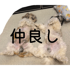 MAMO_20260507174308