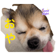 rin_20260507174637