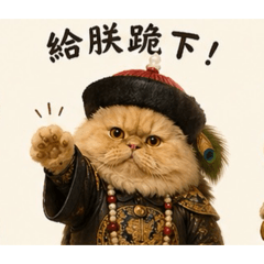 Qmo 可愛