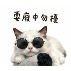 年小糕第三彈 擺爛紀1