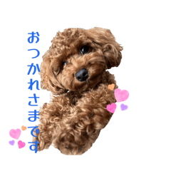 KUMA HINA