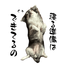 poopoo_20260507190243