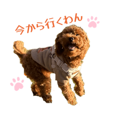 KUMA HINA no.2