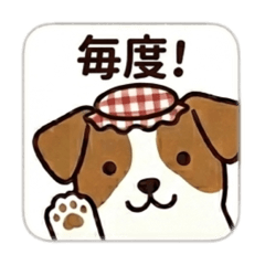 jammin_20260507192815