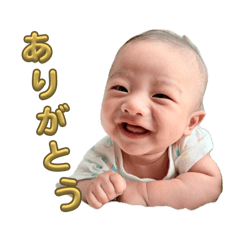 oboto_20260507180908