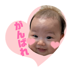 hani_20260507182351