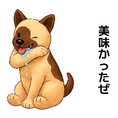 nya_20260507182642