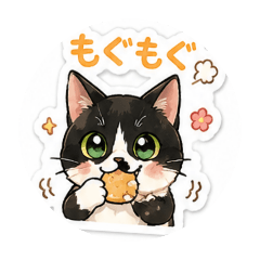 ruri_20260507195226