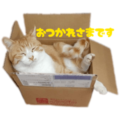 tama_20260507195546