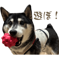 yuuka_20260507200034