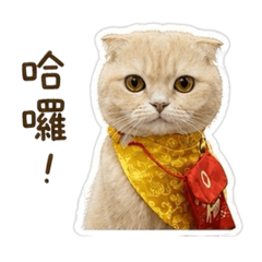 米米可愛吧
