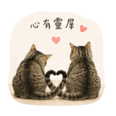 麻吉樂樂（夫妻日常）