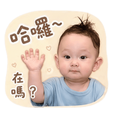 小辰寶(第一彈）