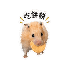 奶茶鼠.