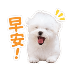 哈尼寶寶-1
