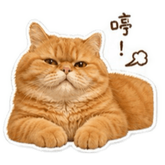 漢堡寶與QQ