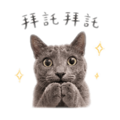 志明的日常生活
