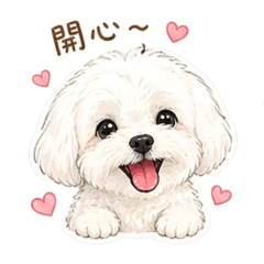 我是小妹妹呀～