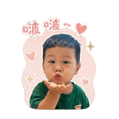 Ollie日常用語篇
