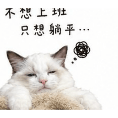 年小糕第五彈 日常用語