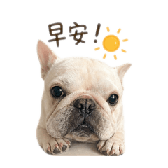 日常早安貼圖