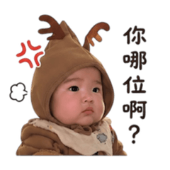 小點點的生氣日常