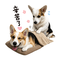 BB仔&雞蛋仔（真實版）