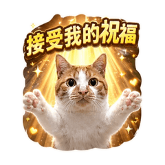 米糕的日常