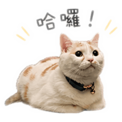 咕嚕咪嚕
