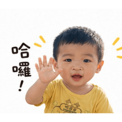 Yoyo_表情包
