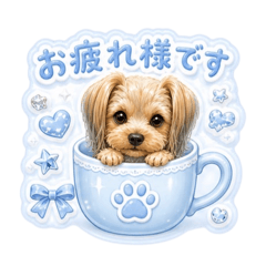 nicolon:_20260507183753