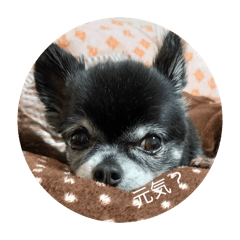 KUROchannnnn