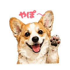 sachi_20260507184232
