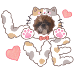 miho_20260507184124