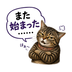 KURUMI_20260507190331