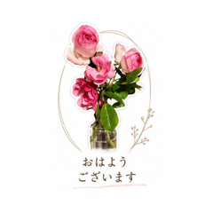 rose_20260507191413