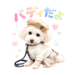 buddy_20260507191004
