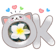 天然花草