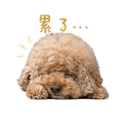 TaeQ
