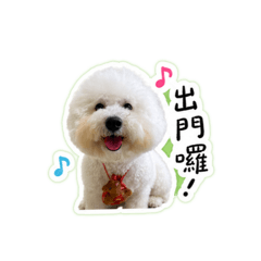 哈囉！比比