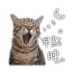 林啾咪_阿咪