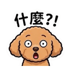 狗ㄟ日常