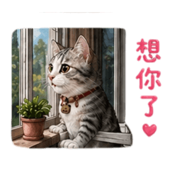 Funa碎碎念