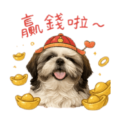 西施歐戀的療癒生活