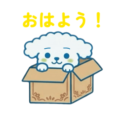 Cuty white dog Rococo