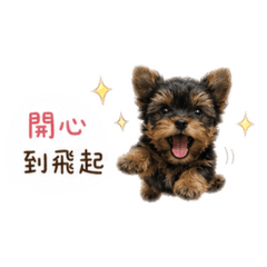 沐沐の日常用語
